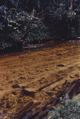 Expedição Pico da Neblina