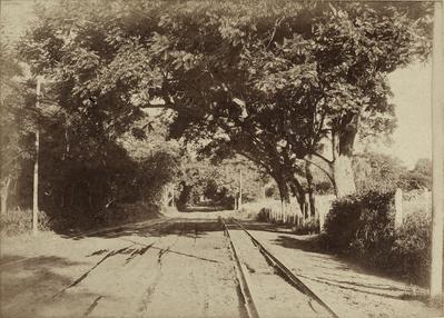 Caminho para o tribunal