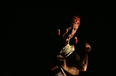 Série Xingu - Preparação para a Festa do Jawari