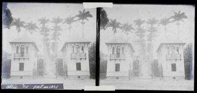 Entrada do Jardim Botânico e a Aleia de Palmeiras Imperiais Barbosa Rodrigues