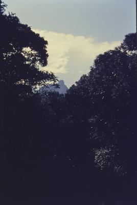 Expedição Pico da Neblina