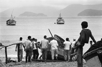 Família de Picinguaba #01