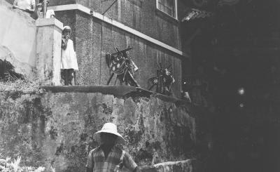 Festa ao Senhor Bom Jesus dos Navegantes