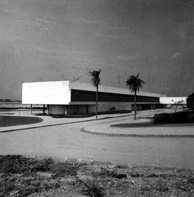 Cidade Universitária da UFRJ, Instituto de Puericultura e Pediatria Martagão Gesteira, projeto de Jorge Machado Moreira
